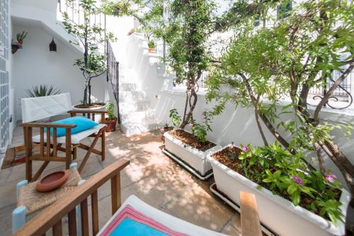 an apartment balcony with trees and plants in planters at Casa Fiammetta in Leuca