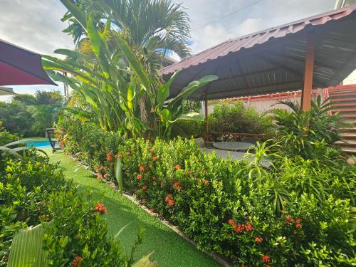 a row of bushes and flowers in a garden at Ballena Rey Hotel in Uvita