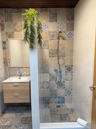 a bathroom with a shower and a sink at Primavera in Padrón