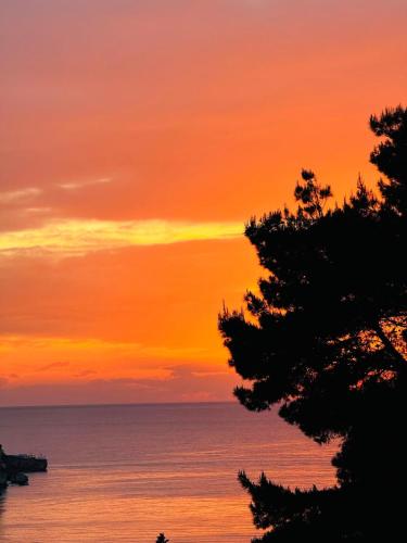 Φυσικό τοπίο κοντά σε αυτό το bed & breakfast