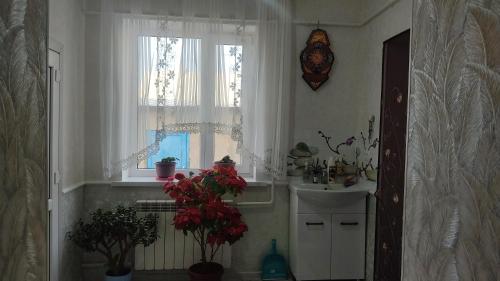 a kitchen with a window and a sink and plants at Bayel Guest house in Kochkorka