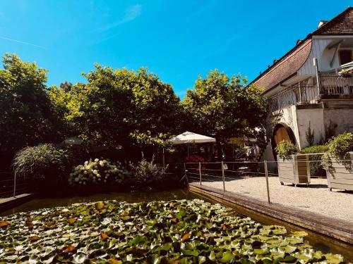 a pool of water with plants in front of a building at Romantik Hotel de L'Ours in Sugiez