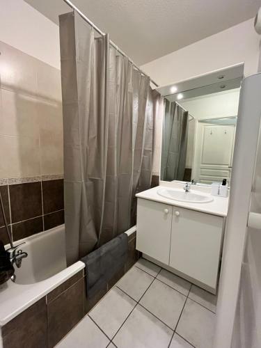 une salle de bain avec un lavabo, un miroir et une douche dans l'établissement T2 avec jardinet à Aucamville, TOULOUSE, à Toulouse