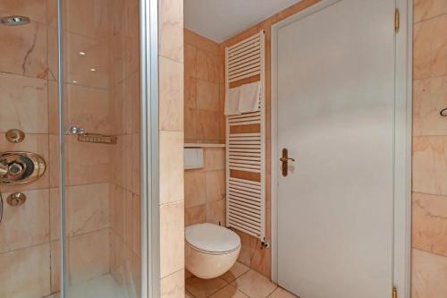 a bathroom with a toilet and a shower at SEE-Hotel Seeschau - direkt am Bodenseeufer in Reichenau