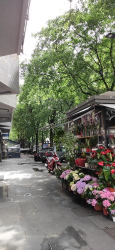 La casa di Chira con Casa Silvestro
