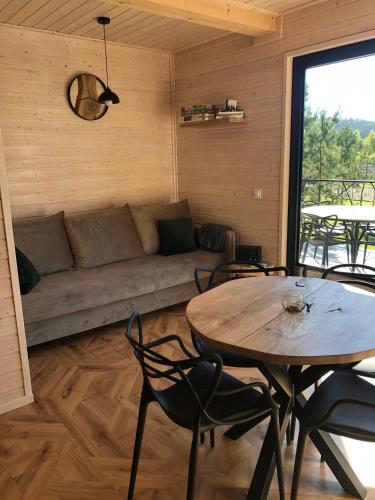 a living room with a couch and a table at Przylesie Domki in Wysoczany