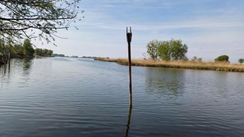 a pole in the middle of a river at Zimmer am See in Fußach