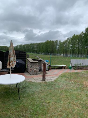 a patio with a table and an umbrella in the grass at Domek Letniskowy z prywatną plażą in Czarnakowizna