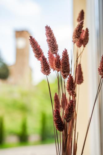 a vase filled with purple flowers sitting next to a wall at Emilio's Rooms in Levizzano Rangone