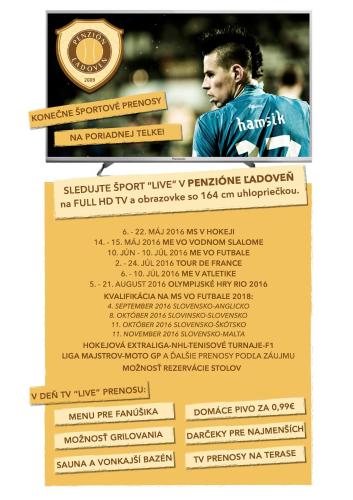 a flyer with a picture of a soccer player at Penzión Ľadoveň SKVELÁ KUCHYŇA A RODINNÁ ATMOSFÉRA in Martin