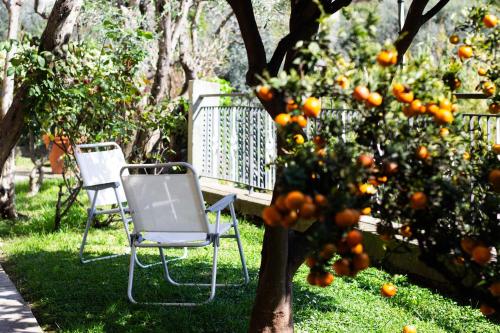 Κήπος έξω από το Green Home