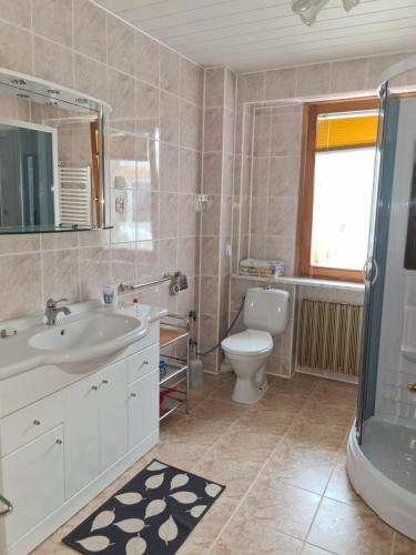 a bathroom with a sink and a toilet and a shower at Willa Pod Brzozami in Korbielów