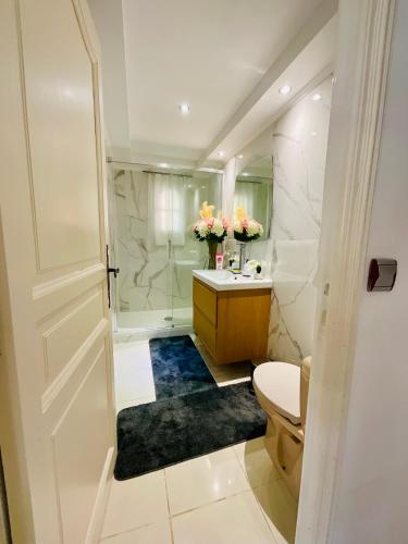 une salle de bain avec une douche, des toilettes et un lavabo dans l'établissement Appartement avec piscine et barbecue, à La Farlède