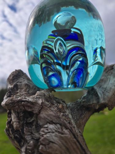 a glass bowl sitting on top of a tree branch at Gold Sun Zelta Saule in Matkule