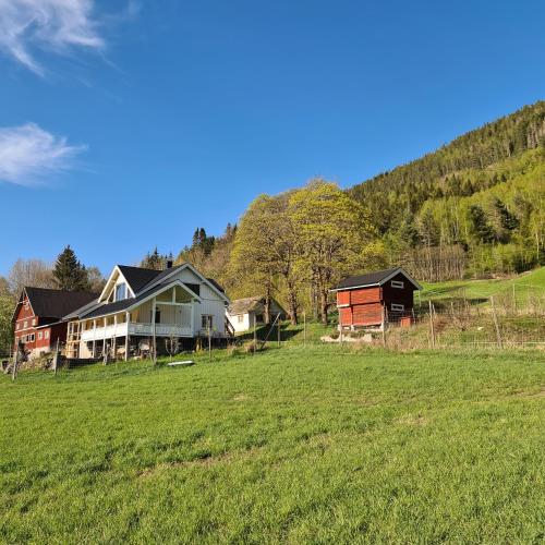 a group of houses in a field with a hill at Småbruk in Fyresdal