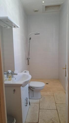 une salle de bain blanche avec des toilettes et un lavabo dans l'établissement Chateau du Fraissinet, 6 gites sleeping 2-8 guests, Pool and River on site, à Le Fraissinet