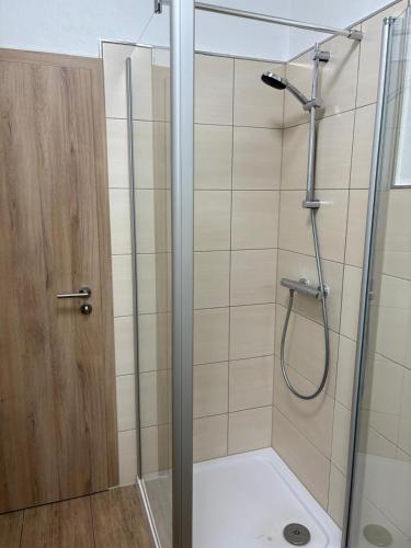 a shower with a glass door in a bathroom at 1-Zimmer-Apartment mit Pool in Ellenz-Poltersdorf