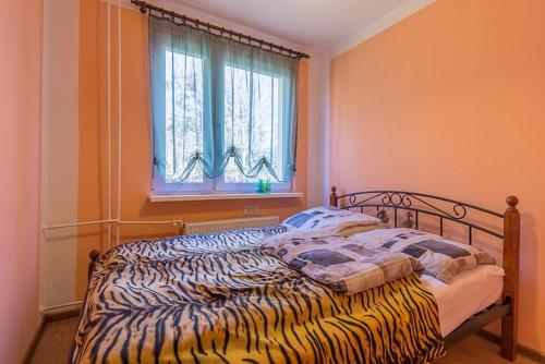 シュクラルスカ・ポレンバにあるNa Małejの窓付きの客室で、シマウマプリントのベッド1台が備わります。
