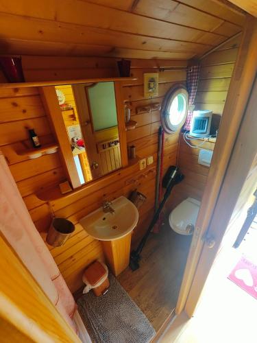 - une salle de bains avec lavabo et toilettes dans l'établissement Roulotte Gentiane, à Gèdre