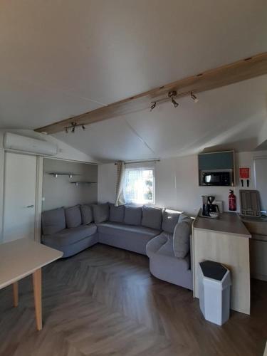 un salon avec un canapé et une table dans l'établissement MOBIL HOME Rose, à Sérignan