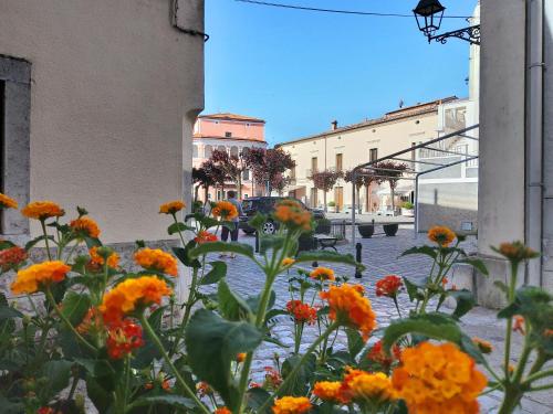 a bunch of orange flowers in a courtyard at Il Borgo Ospitale - Albergo Diffuso in Rotonda