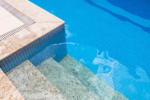 a reflection of a dog in a swimming pool at ibis Styles Belem Nazare in Belém