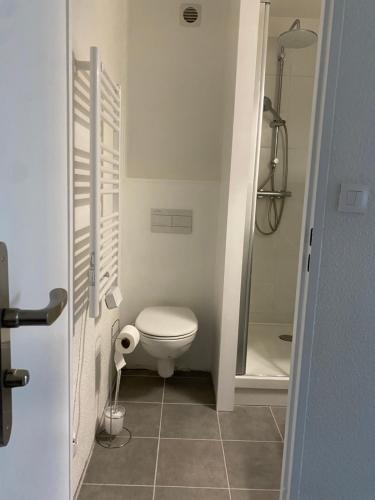 une salle de bain avec toilettes et douche dans l'établissement Cottage Normand avec jardin de 80 m2, à Villers-sur-Mer