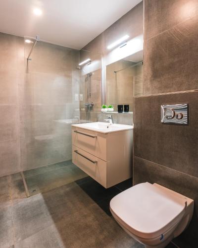 a bathroom with a toilet and a sink and a shower at Apartmány Elzet in Třeboň