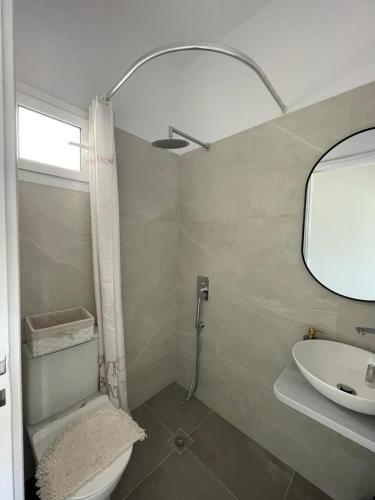 a bathroom with a sink and a toilet and a mirror at Rois Appartments in Poros