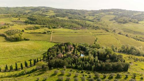 an aerial view of a group of trees in a field at Podere Fignano, holiday home - apartments renovated 2024 - new swimming pool in Montaione