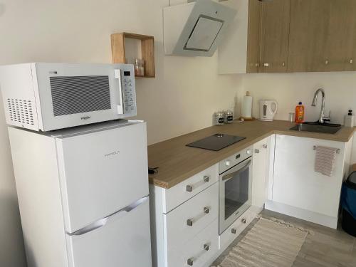 Il comprend une cuisine équipée d'un four micro-ondes et d'un réfrigérateur. dans l'établissement Escapade ensoleillée Studio, à La Seyne-sur-Mer