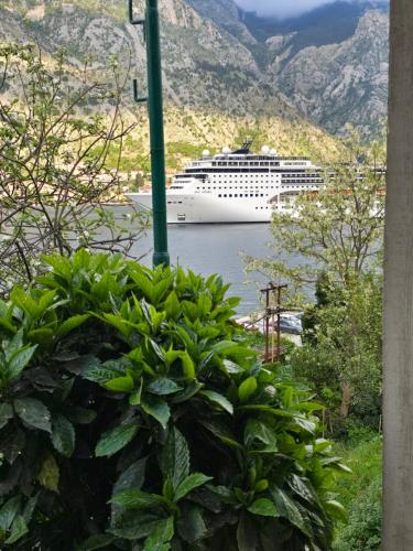 a cruise ship is docked in a harbor at Apartman Jelena in Kotor