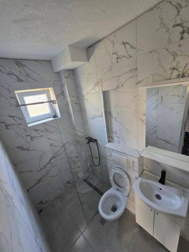 a bathroom with a shower and a toilet and a sink at Apartman Jelena in Kotor