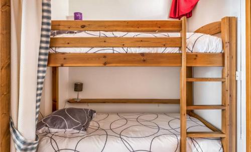 Ce lit superposé se trouve dans un dortoir avec une échelle. dans l'établissement Studio 25m2, Lumineux - Chamonix Centre - Vue MontBlanc, à Chamonix-Mont-Blanc