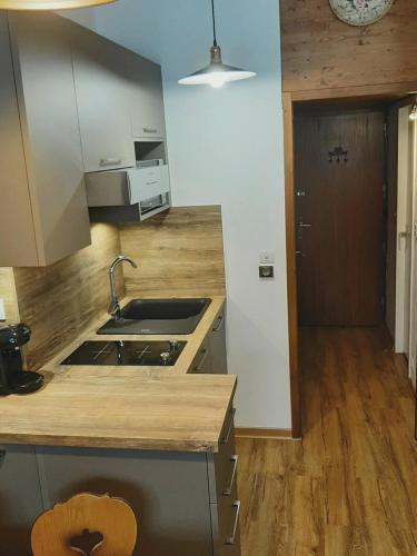 Grand Studio 25 m2, lumineux, central, vue Mont-Blanc