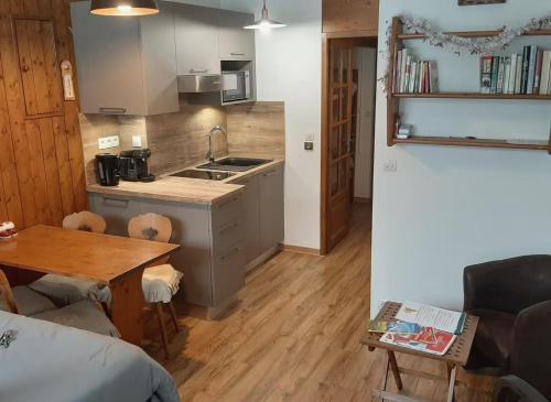 Grand Studio 25 m2, lumineux, central, vue Mont-Blanc
