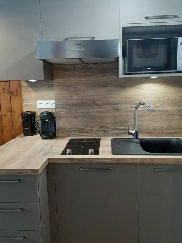 Grand Studio 25 m2, lumineux, central, vue Mont-Blanc