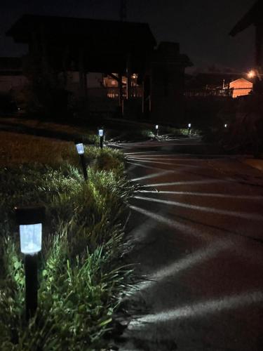an empty street at night with a bush at Čajića avlija in Obrenovac