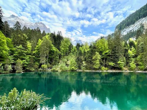 a lake in the middle of a forest with its reflections in the water at Chalet-Simmi in Wimmis