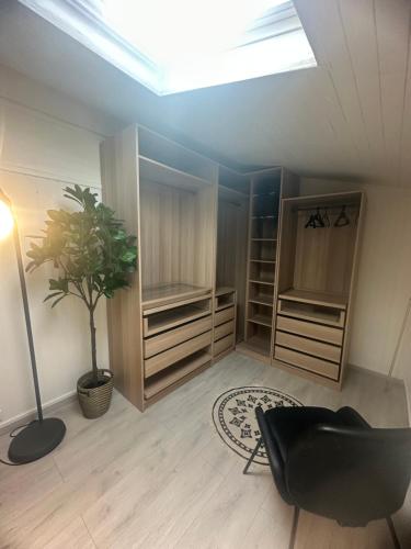 un salon avec une chaise noire et une plante dans l'établissement Appartement T3 60m2 avec vue sur l'Océan, à Seignosse