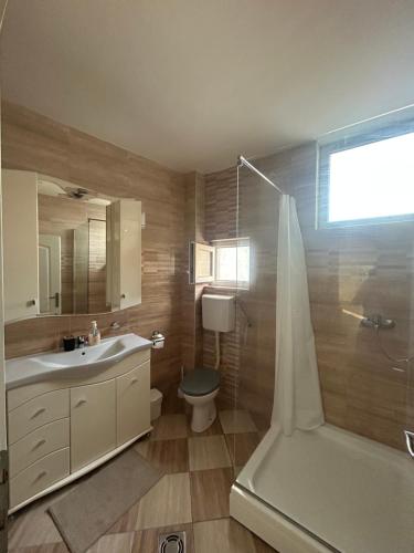 a bathroom with a toilet and a sink and a shower at Stan na dan in Ub