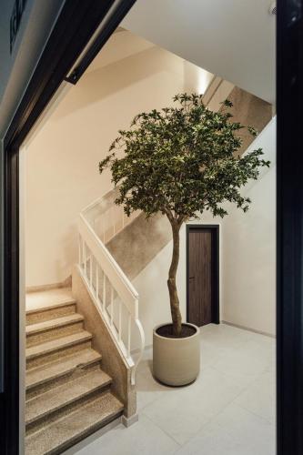 a tree in a pot next to a staircase at Getaway Studios Liège in Liège