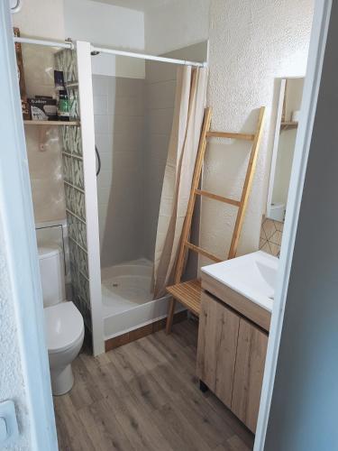 une salle de bain avec une douche, des toilettes et un lavabo dans l'établissement Studio Les Floralies 2 du Grau du Roi, au Grau-du-Roi