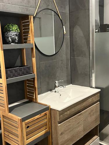 une salle de bain avec un lavabo et un miroir dans l'établissement Maison entière, à Bar-sur-Aube