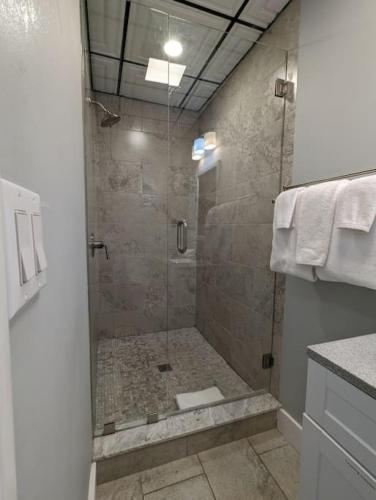 a bathroom with a shower with a glass door at Upstairs Villa at Pine Street in Eureka Springs