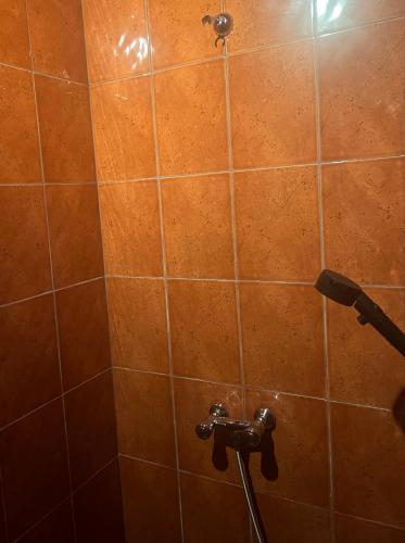 Salle de bains dans l'établissement Hostel Ozurgeti