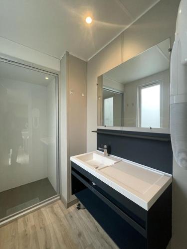 une salle de bain avec un lavabo et un grand miroir dans l'établissement Zen, à Saint-Cyprien