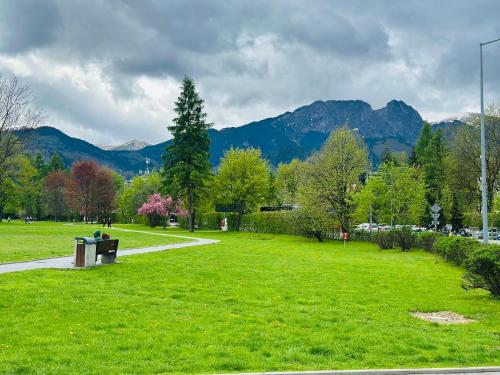 a park with green grass and mountains in the background at Leśny Dworek Zakopane in Zakopane