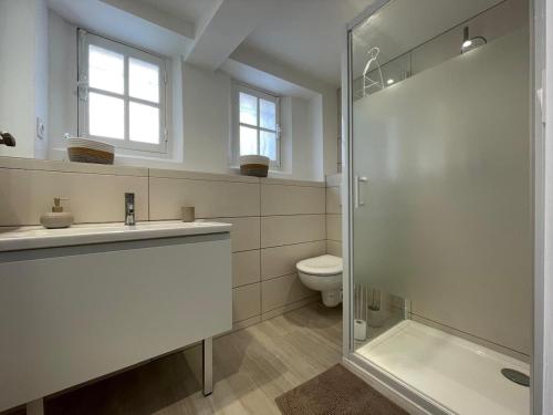 une salle de bain avec une douche, un lavabo et des toilettes dans l'établissement charmant appartement neuf en plein centre du village de collobrières, à La Celle-sous-Gouzon
