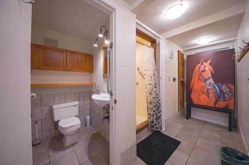 a bathroom with a toilet and a horse painting on the wall at Private Bedroom, Bathroom, Shared Outdoor Pool, Hot Tub in North Vancouver